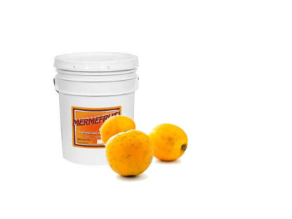 MERMELADA TEJOCOTE MERMEFRUT 20 KG