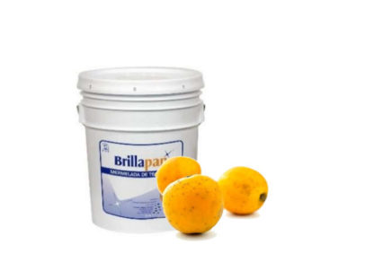 MERMELADA TEJOCOTE BRILLAPAN 21 KG